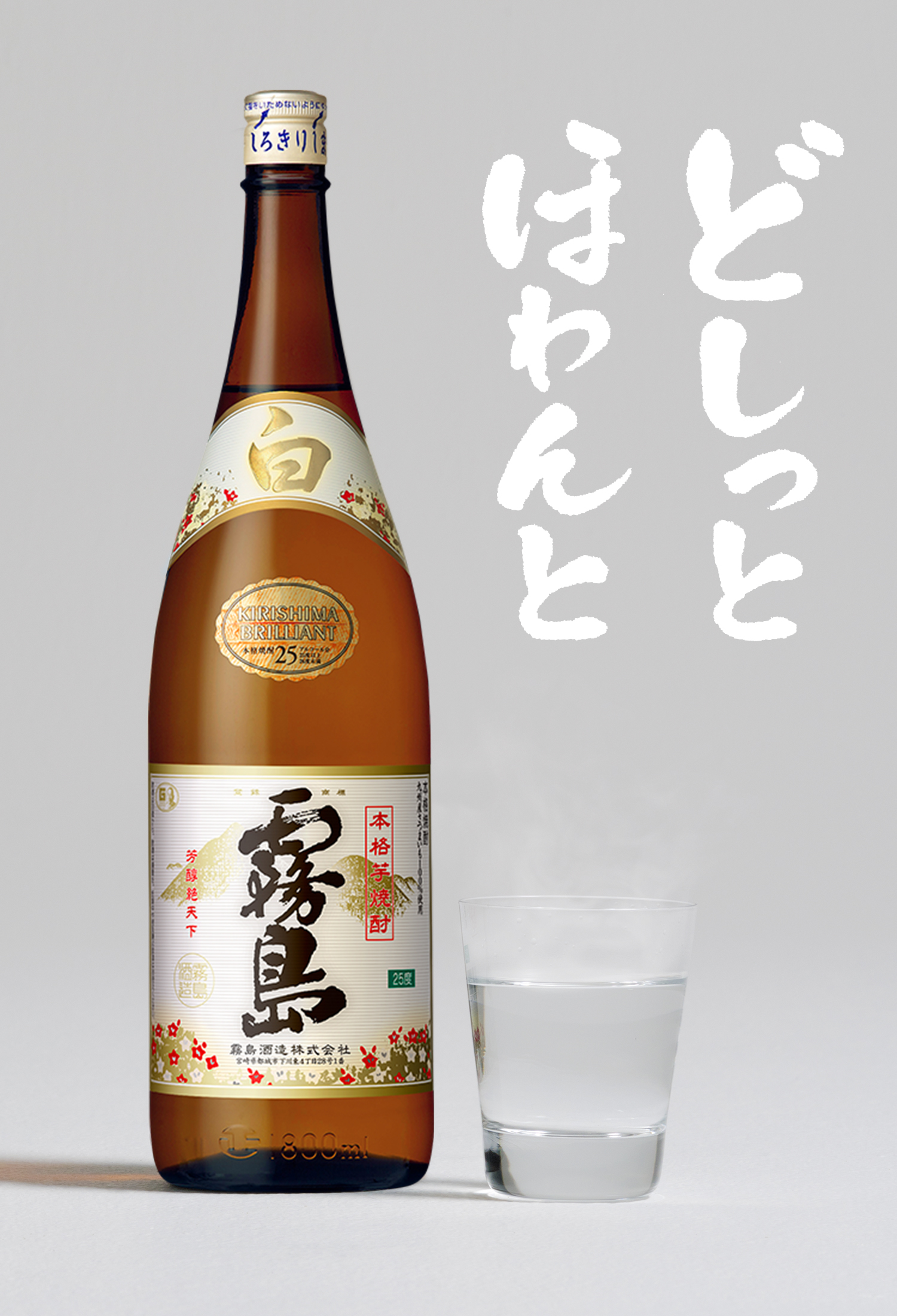 A soft and fluffy Shiro Kirishima